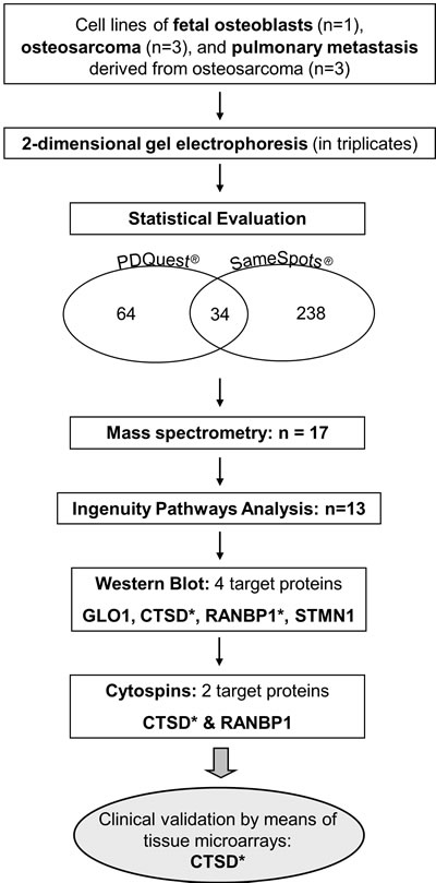 fig1