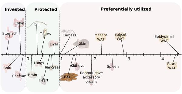 fig6
