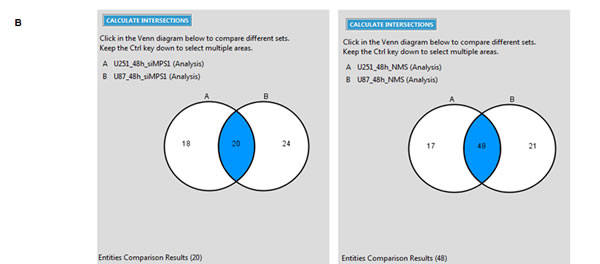 fig1b