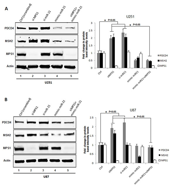 fig2