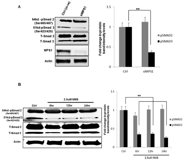 fig6