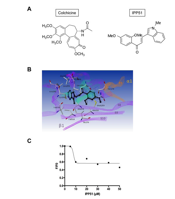 fig5