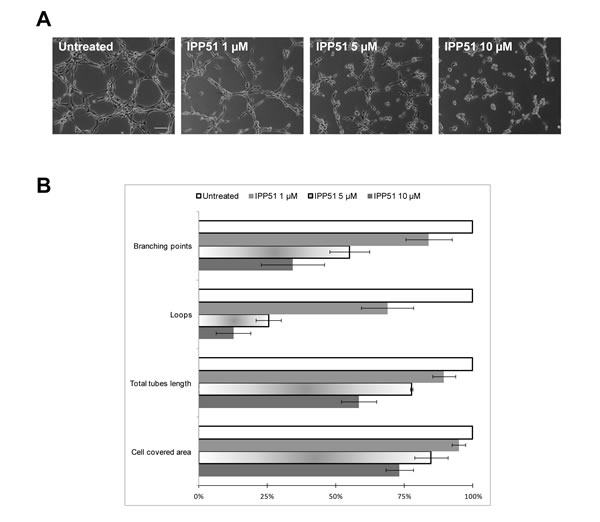 fig6