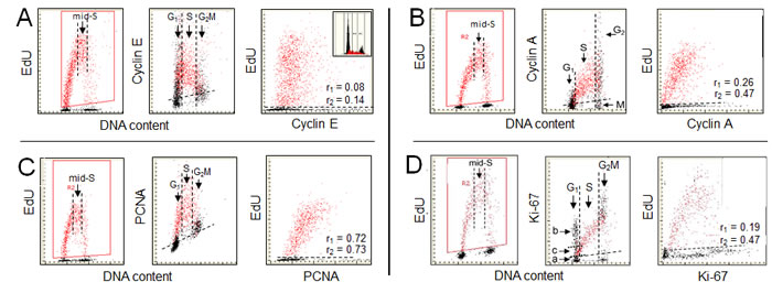 fig2