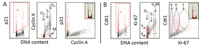 fig3