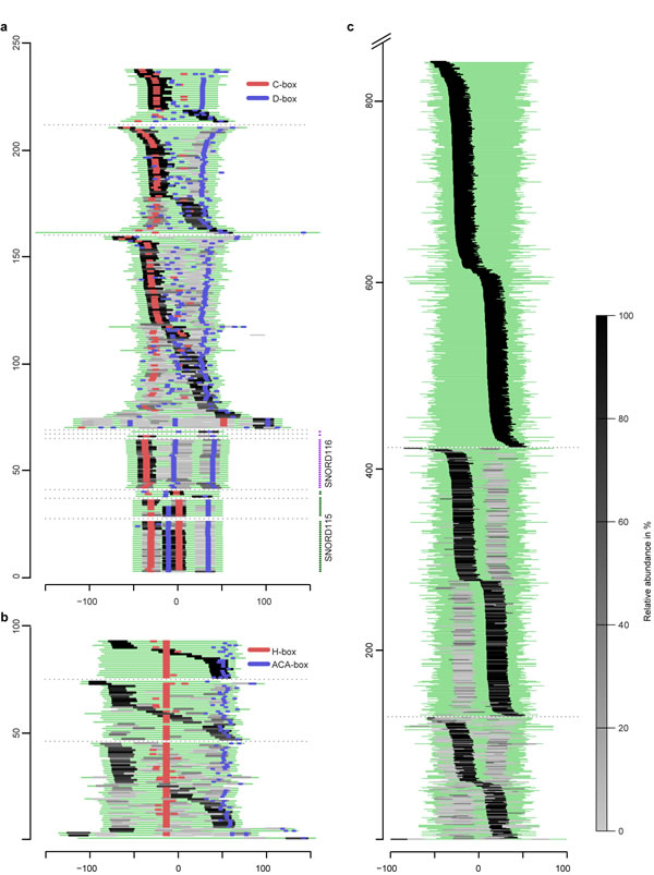 fig4