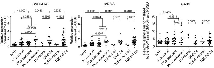fig6