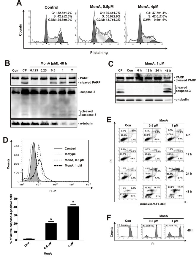 fig2