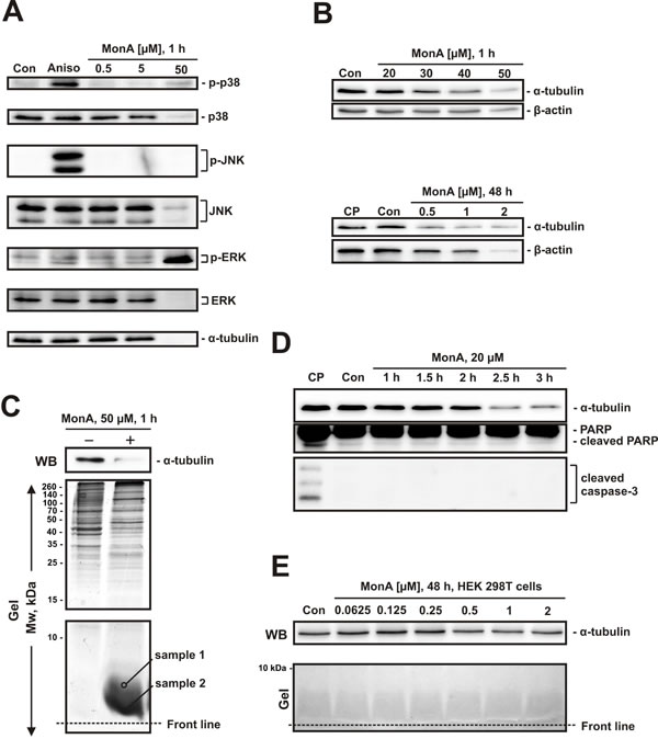 fig3