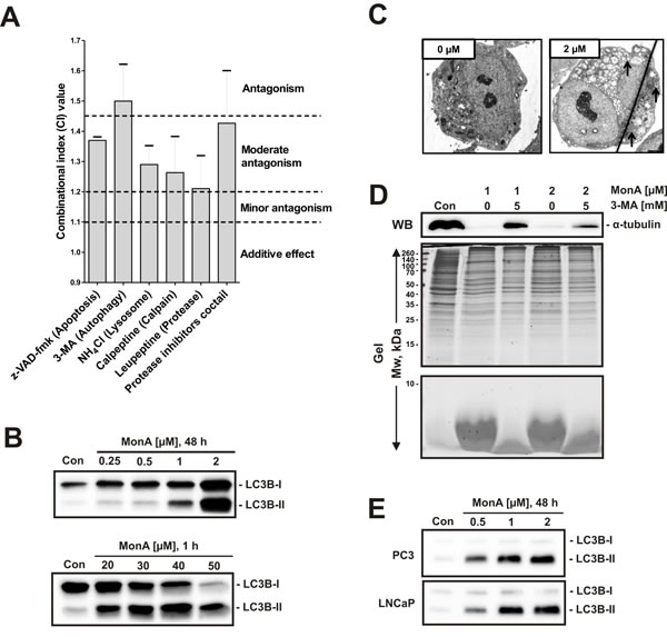 fig4