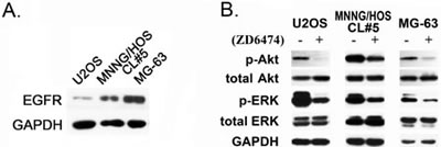 fig4