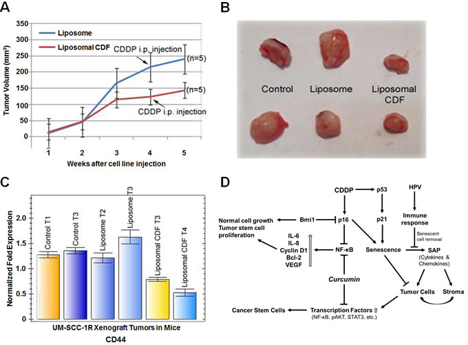 fig6