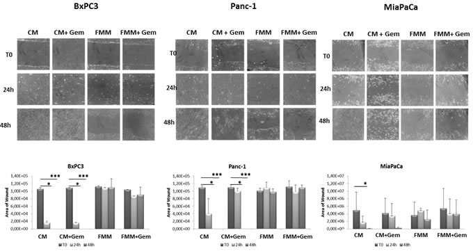 fig2