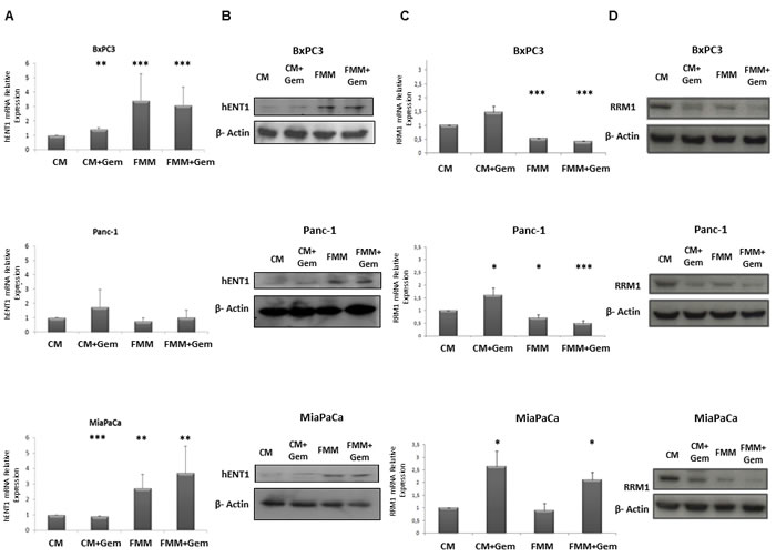 fig4