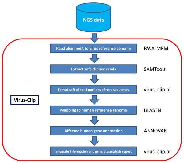 fig1