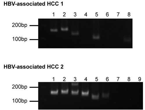 fig2