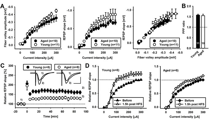 fig1