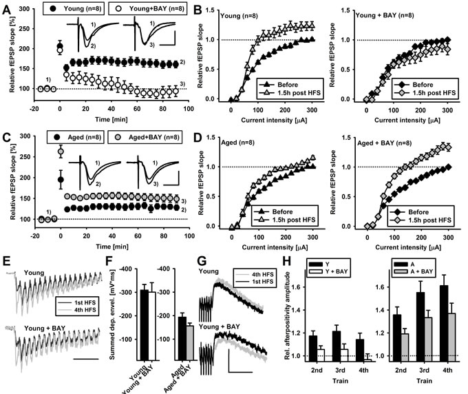 fig2