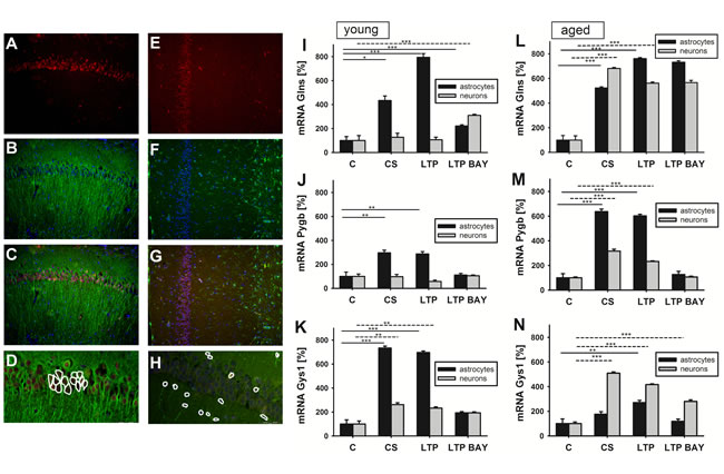 fig3