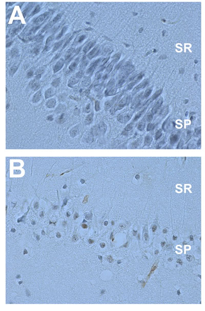 fig4