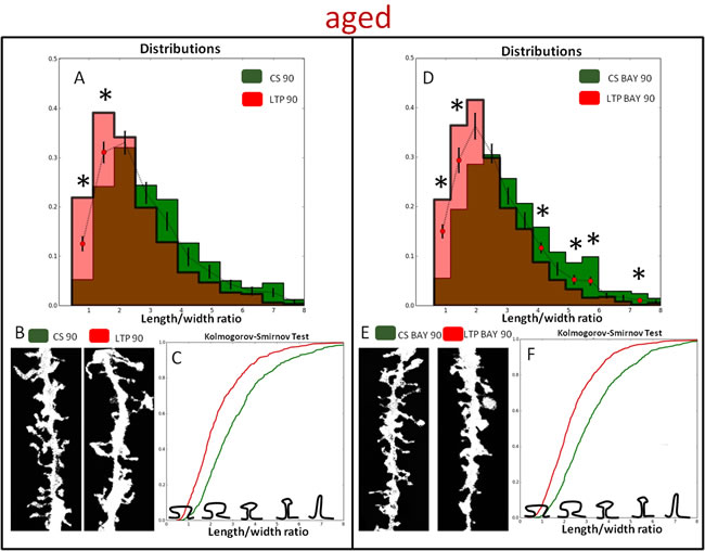 fig6