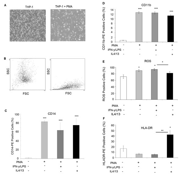 fig3