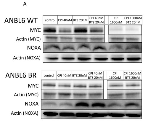 fig4a