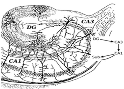 fig1