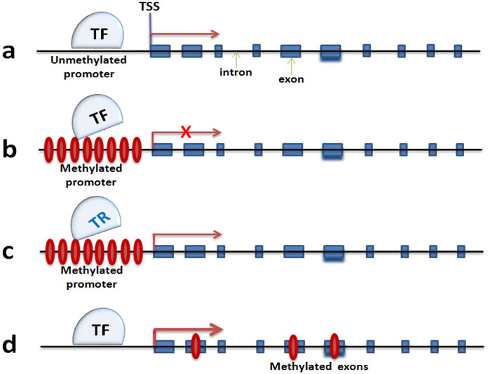 fig3