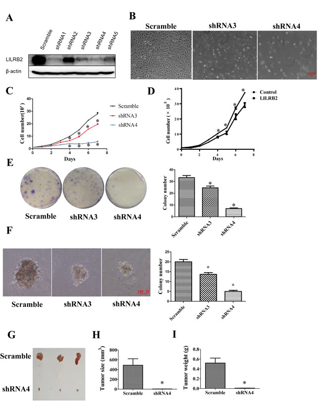 fig2