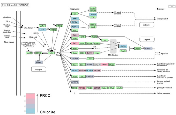 fig3