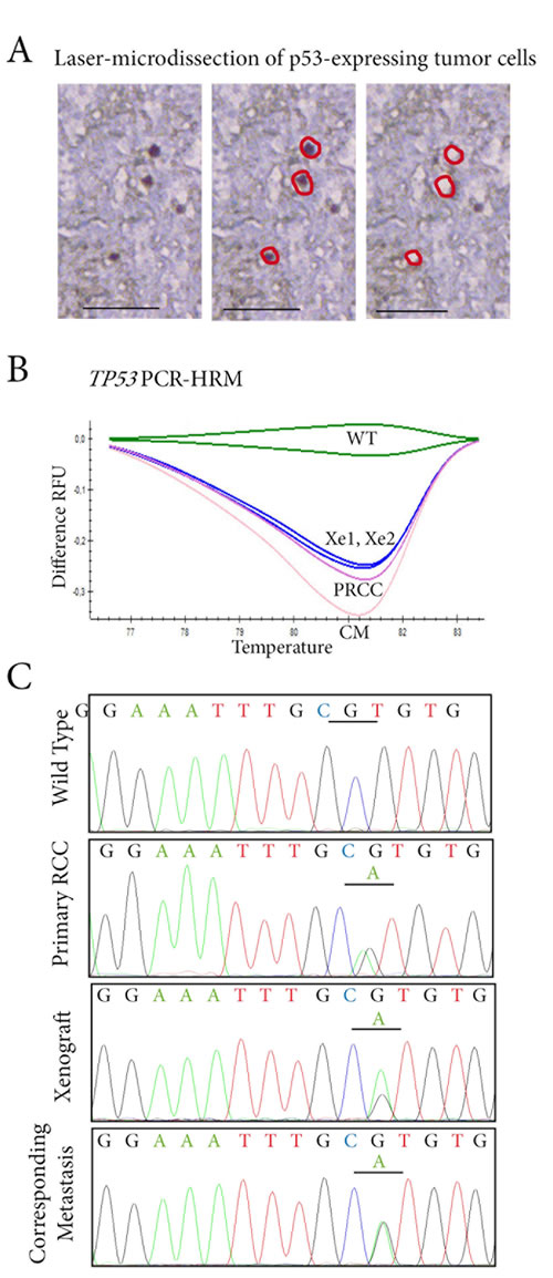 fig4