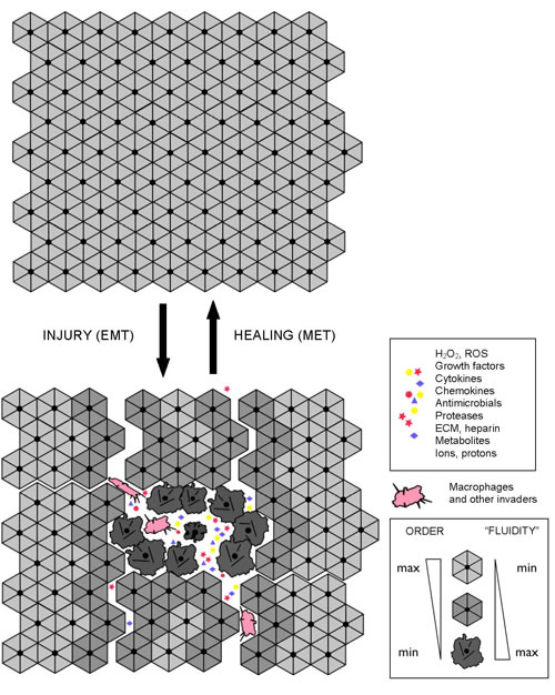 fig4