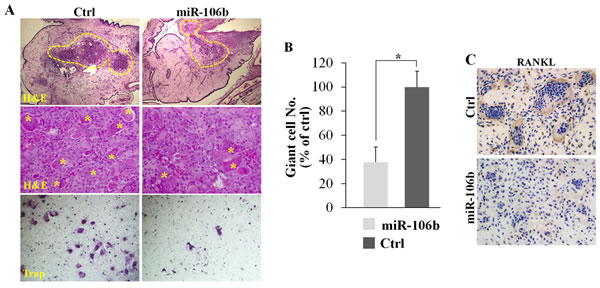 fig6