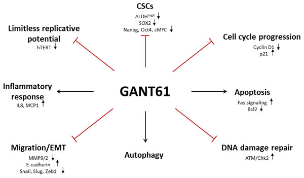 fig2