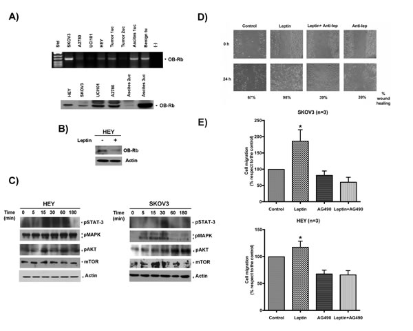 fig3
