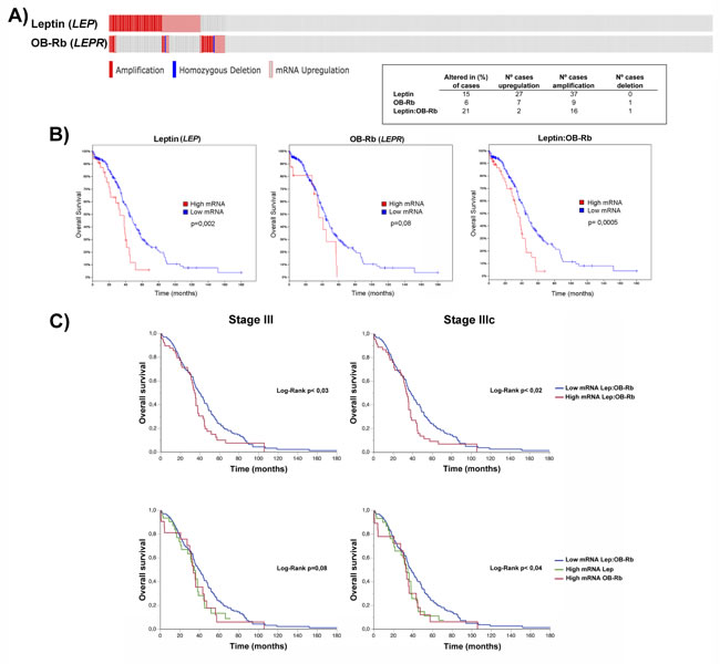 fig6