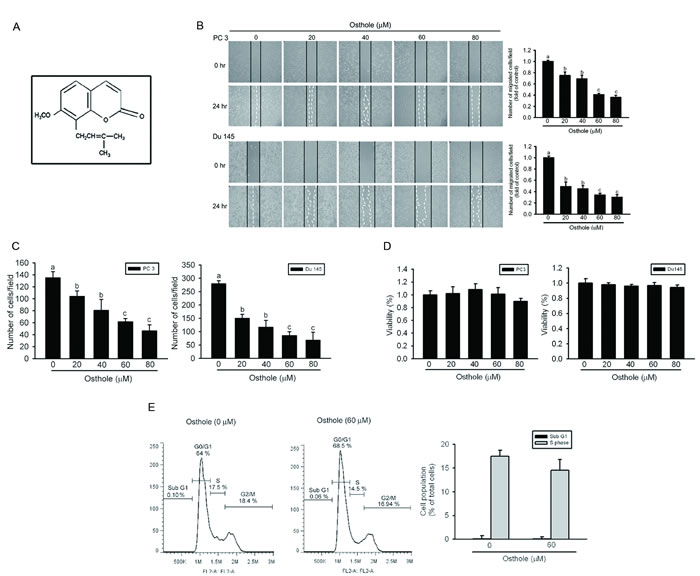 fig1