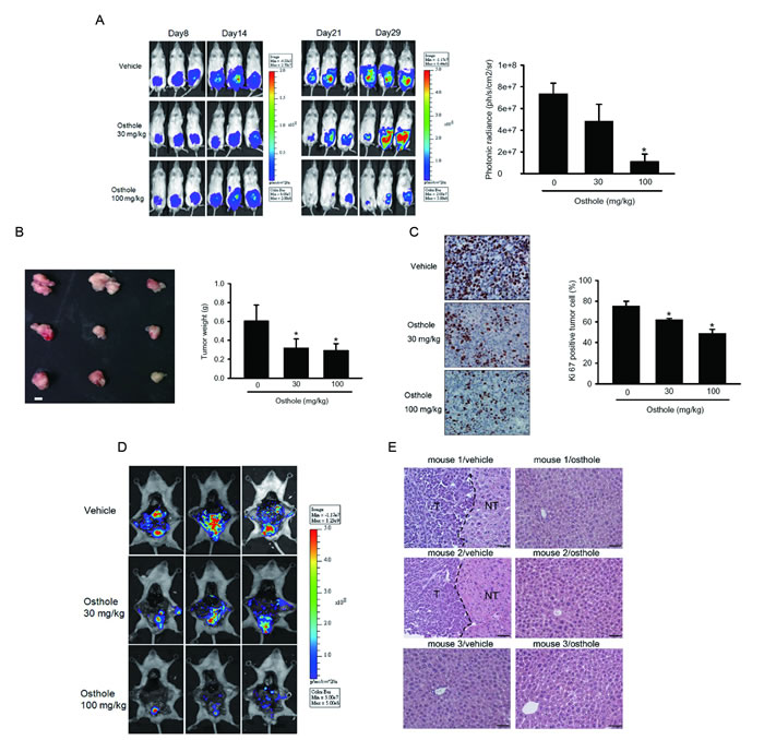 fig2