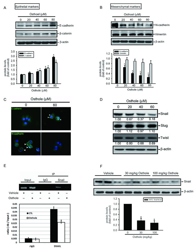 fig3