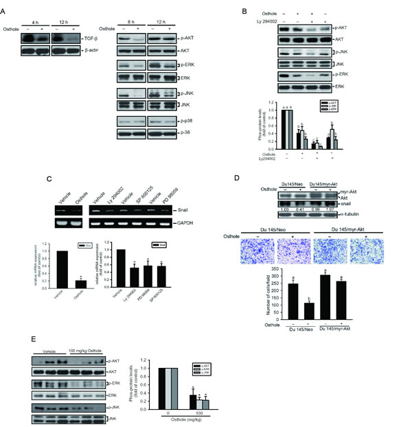 fig4