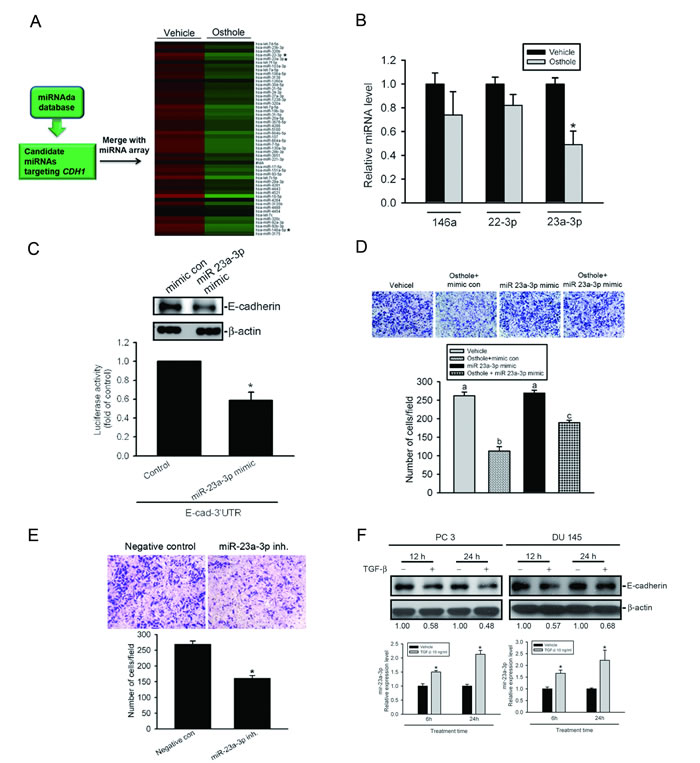 fig6