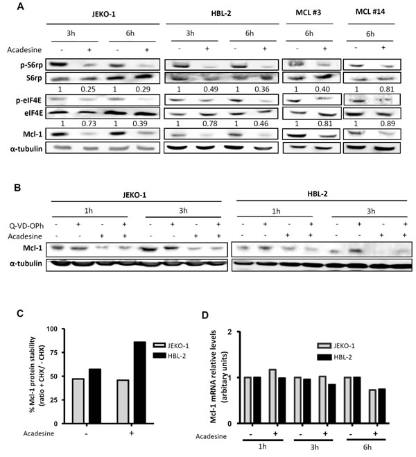 fig3