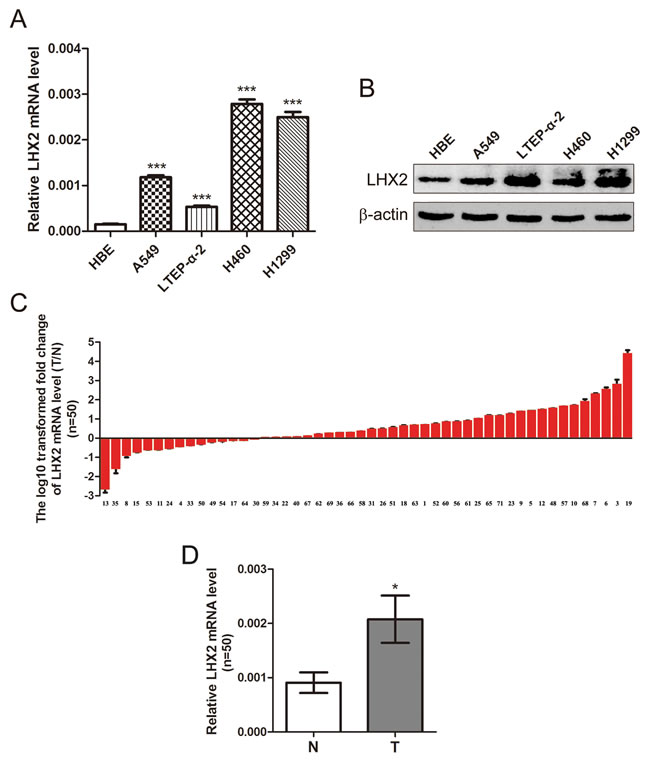 fig1