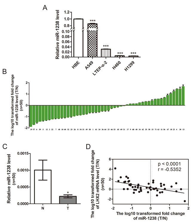 fig2
