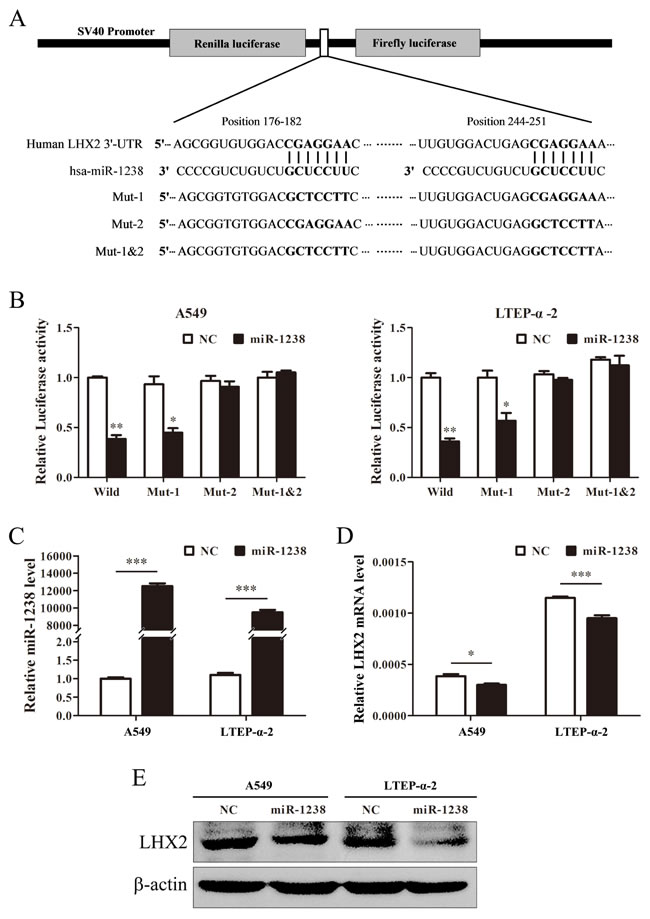 fig3