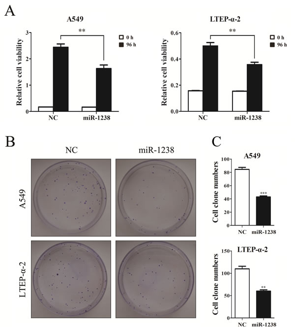 fig4