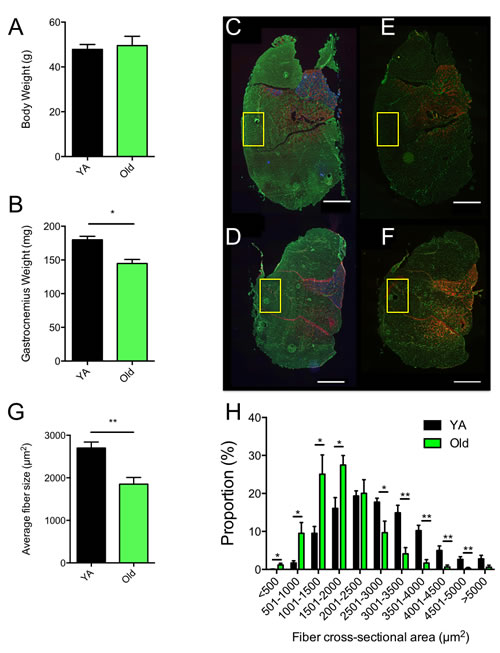 fig1