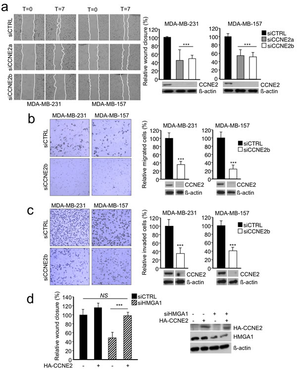 fig3