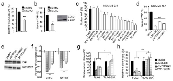 fig6